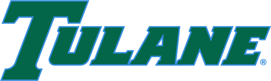 Tulane Green Wave 2017-Pres Wordmark Logo v2 iron on transfers for T-shirts